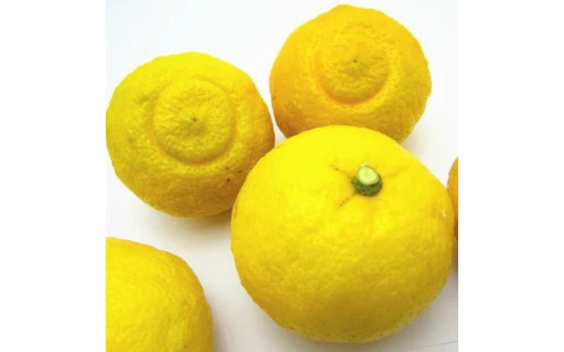 【先行予約】【人気柑橘】 特撰 はるかみかん  5kg+200g(痛み補償分)※着日指定不可【ard250A】