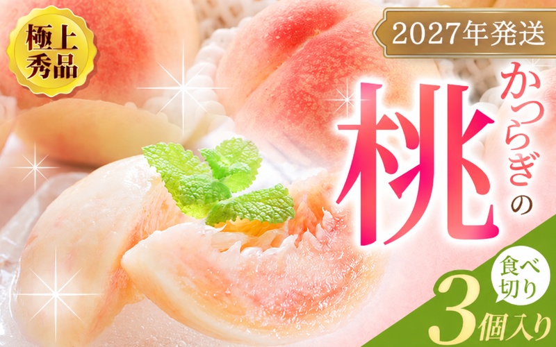 【先行予約】【厳選】あふれる果汁で口いっぱい！ 食べきりサイズ 和歌山県産 桃 3玉【2027年6月20日〜7月30日発送予定】（お届け日指定不可）/ 和歌山 桃 モモ フルーツ もも 白桃 果物 くだもの【kgr002】