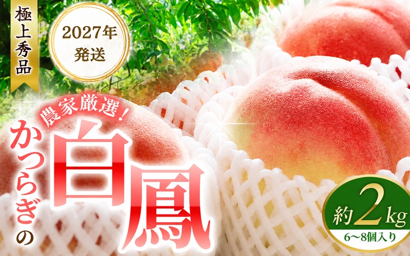 【予約受付】桃の王様 白鳳 <特秀品> 約2kg（6個~9個） 【2027年６月20頃〜順次出荷】（お届け日指定不可）/ 桃 もも 白鳳 フルーツ 果物 くだもの 【kgr009B】