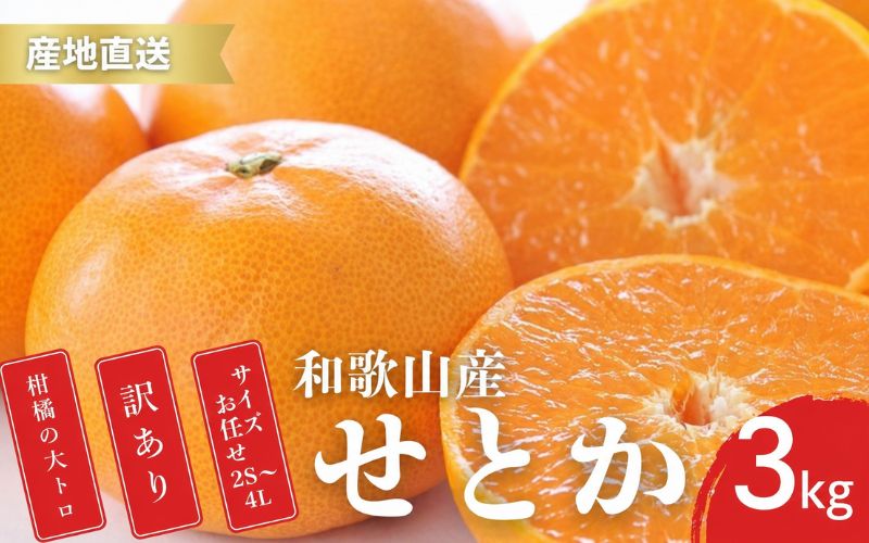 【先行予約】訳あり せとか 和歌山 有田 2S〜4Lサイズ混合 3kg【2月上旬〜3月下旬頃に順次発送】/ みかん フルーツ 果物 くだもの 蜜柑 柑橘【ktn015B】