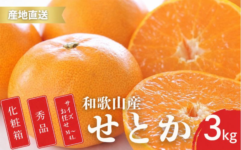 【先行予約】秀品 せとか 和歌山 有田 化粧箱 M～4Lサイズ 大きさお任せ【2月上旬～3月下旬頃に順次発送】/ みかん フルーツ 果物 くだもの 蜜柑 柑橘【ktn013A】