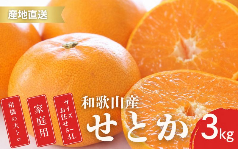 【先行予約】家庭用 せとか 和歌山 有田 S～4Lサイズ 大きさお任せ 3kg【2月上旬～3月下旬頃に順次発送】/ みかん フルーツ 果物 くだもの 蜜柑 柑橘【ktn014A】