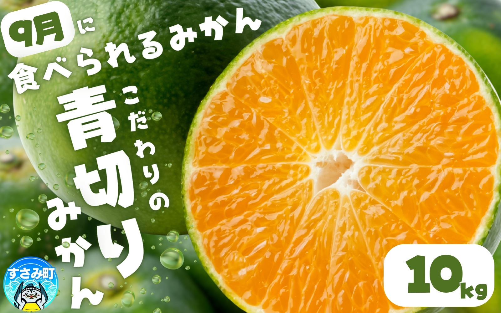 【来秋頃発送予約】【農家直送】こだわりの青切りみかん 約10kg  有機質肥料100%　 サイズ混合　※2026年9月下旬より順次発送予定（お届け日指定不可）【nuk108E】