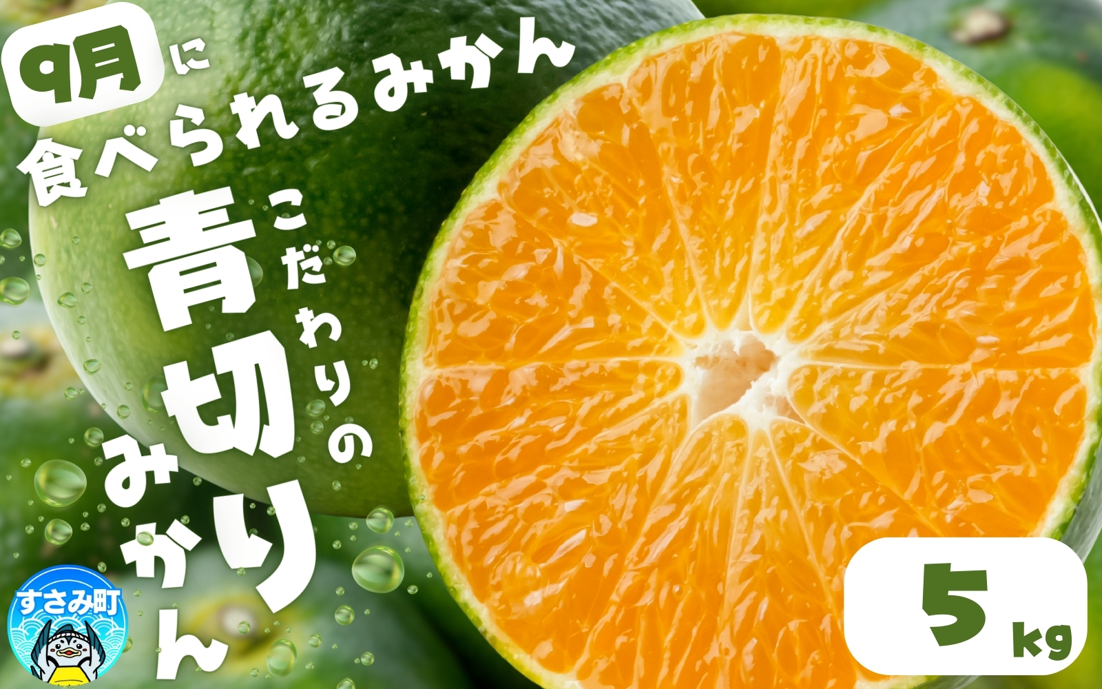 【来秋頃発送予約分】【農家直送】こだわりの青切りみかん 約5kg  有機質肥料100%　 サイズ混合　※2026年9月下旬より順次発送予定（お届け日指定不可）【nuk150C】