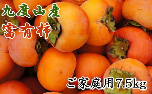 ≪柿の名産地≫九度山の富有柿 約7.5kg ご家庭用【2024年11月上旬～2024年12月上旬頃順次発送】/ 柿 かき カキ フルーツ 果物 くだもの 和歌山 おすすめ 九度山 家庭用【tec413A】