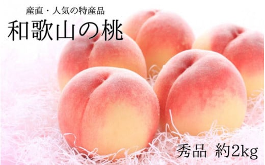 【産直・人気の特産品】和歌山の桃 約2kg 秀品 ※2025年6月下旬～8月上旬頃順次発送 / もも ジューシー 甘い フルーツ ギフト 夏ギフト 贈り物 プレゼント お祝い 果物 くだもの 16000円 人気 産地直送 お取り寄せ 和歌山【tec910A】