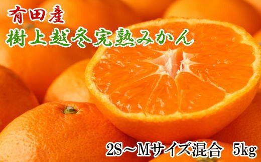 【濃厚・まろやか】有田産樹上越冬完熟みかん5kg（2S～Mサイズ混合・秀品）　※2025年1月下旬頃～2025年2月中旬頃発送【tec873A】