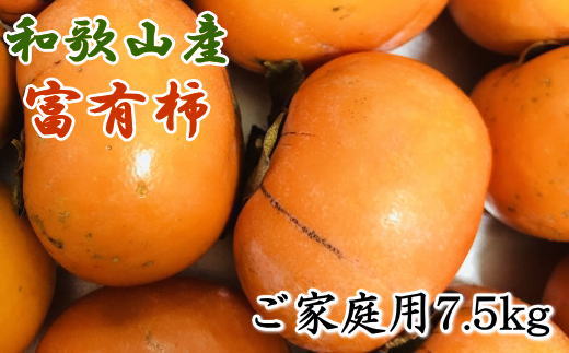 和歌山産富有柿ご家庭用約7.5kg【2024年11月上旬～2024年12月上旬頃順次発送】【tec407A】