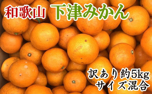 【訳あり】和歌山下津みかん約5kgご家庭用向け(サイズ混合)　※2024年11月中旬～1月中旬頃順次発送予定（お届け日指定不可）【tec949】