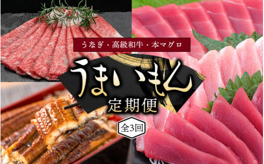 【3ヶ月定期便】和歌山うまいもん定期便 国産うなぎ･高級和牛･本マグロの人気返礼品を3回お届け！ / ウナギ 鰻 牛肉 黒毛和牛 熊野牛 鮪 まぐろ 70000円 7万円 人気 豪華 贈答 贈り物 ご褒美 お祝い ギフト プレゼント 【tkb300】