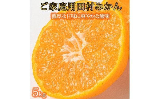 【ご家庭用訳あり】田村みかん　5kg　※2024年11月下旬頃～2025年1月下旬頃発送【uot754】