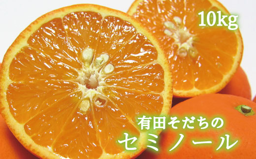 【2027年4月上旬～5月下旬頃に順次発送予定】ご家庭用セミノールオレンジ10kg+200g(補償分)【ard027B】