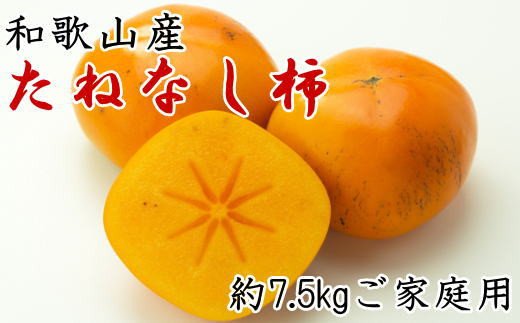 【秋の味覚】和歌山産のたねなし柿ご家庭用約7.5kg※2024年10月上旬～2024年11月上旬頃順次発送【tec410A】