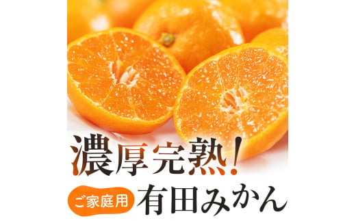 有田育ちのご家庭用完熟 有田みかん 2.2kg ※2024年11月上旬～12月下旬頃に順次発送【ard201】