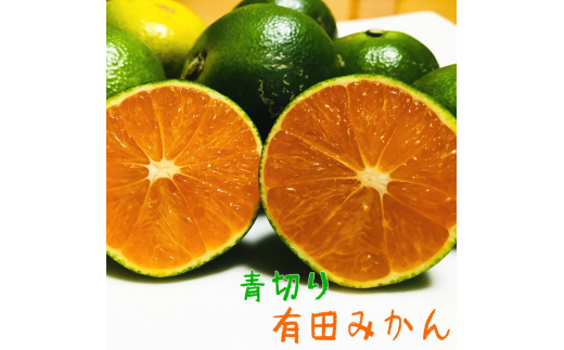 ãå
è¡äºçŽã ã2026幎9æïœçºéããå®¶åºçšéåãæç°ã¿ãã çŽ7.5kg+200g(å·ã¿è£åå) / ã¿ãã æç© ãã ãã® ãã«ãŒã ææ©ãard146Bã