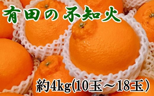 【先行予約】【濃厚】有田の不知火約4kg（10玉～18玉おまかせ）※2025年2月上旬～2025年3月下旬頃発送予定【tec862A】