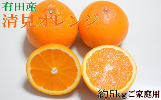 【濃厚】有田産清見オレンジ約5kg(M～3Lサイズおまかせ)ご家庭用　※2025年2月中旬～2025年3月中旬頃発送予定（お届け日指定不可）【tec959】