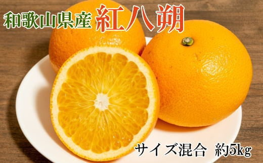 【2025年発送先行予約】【希少品】和歌山県産紅八朔約5kg（サイズ混合）※2025年1月下旬～2月中旬ごろ順次発送【tec944】