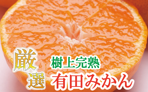 プレミアム有田みかん7.5kg+250g（傷み補償分）11月より発送(完熟)【光センサー選果】【ikd020C】