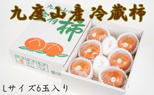 【まごころ栽培】九度山の冷蔵富有柿Lサイズ6玉入り＜2025年1月中旬～2025年2月下旬頃発送予定＞【tec411】