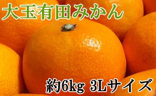 [秀品]和歌山有田みかん　6kg(3Lサイズ) ※2024年11月中旬～2025年1月中旬頃より順次発送【tec836】