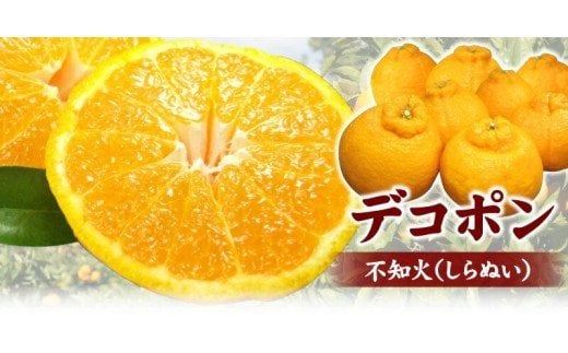 田村産「デコ」不知火[約3kg]湯浅町田村産春みかん(果実サイズおまかせ)/紀伊国屋文左衛門本舗　※2026年2月中旬～2024年3月下旬頃に順次発送予定(お届け日指定不可)【sutb493A】