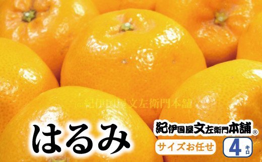 はるみ  約4kg /サイズおまかせ　※2025年1月下旬～2025年3月中旬頃に順次発送予定(お届け日指定不可)　紀伊国屋文左衛門本舗 / みかん 果物 オレンジ フルーツ 柑橘 和歌山 【sutb460B】