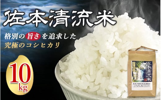 佐本川の清流で育てた 「 佐本清流米（コシヒカリ） 」 10kg【tko102】