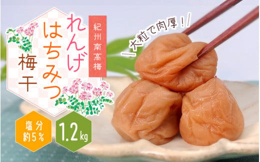 紀州南高梅 大粒 れんげはちみつ梅干 1.2kg 塩分約5%/梅 梅干 梅干し うめ 南高梅 はちみつ梅 はちみつ梅干 大容量 たっぷり お得 ご飯のお供 ご家庭用 ご自宅用 贈答 お中元 お歳暮 人気 健康【khs116】