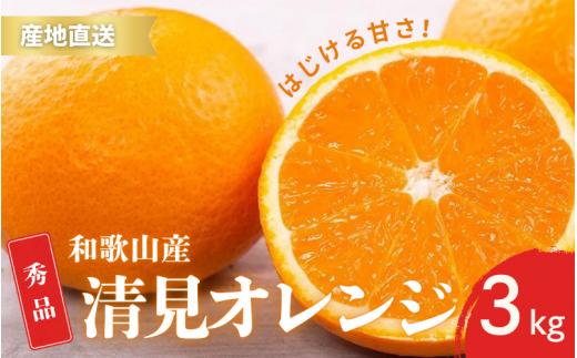 【先行予約】秀品 きよみ 清美オレンジ 和歌山 有田 S～2Lサイズ 大きさお任せ 3kg【2月中旬～3月下旬頃に順次発送】/ みかん フルーツ 果物 くだもの 蜜柑 柑橘【ktn039】