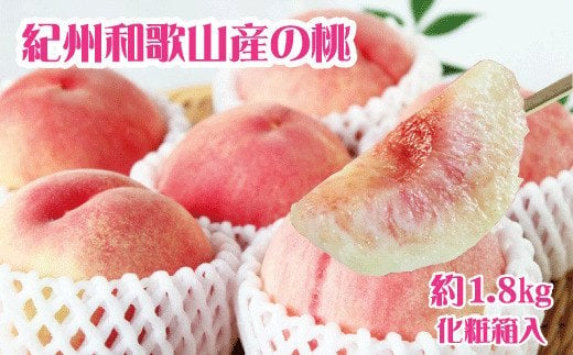 紀州和歌山産の桃 約1.8kg 化粧箱入 ※2025年6月下旬～2025年8月上旬頃頃順次発送（お届け日指定不可）先行予約 桃 もも モモ フルーツ 果物 くだもの 人気 旬 和歌山【uot720-2】