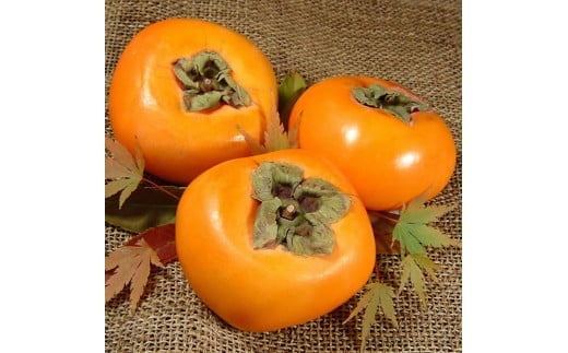 和歌山の 種なし 柿 約7.5kg【秀品：サイズ・品種おまかせ】和歌山県産/紀伊国屋文左衛門本舗　※2026年9月下旬～2026年11月下旬頃に順次発送予定(お届け日指定不可)【sutb801B】