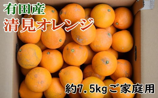 【産直】有田産清見オレンジ 約7.5kg（訳あり家庭用サイズおまかせまたは混合）【tec867A】