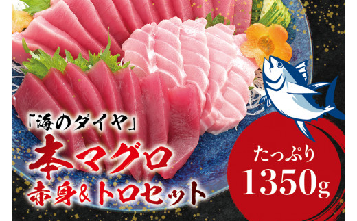 本マグロ（養殖）トロ＆赤身セット 1350g 【1ヶ月以内に発送】 高級 クロマグロ 中トロ 中とろ  まぐろ マグロ 鮪 刺身 赤身 柵 じゃばらまぐろ 本マグロ 本鮪【nks111】