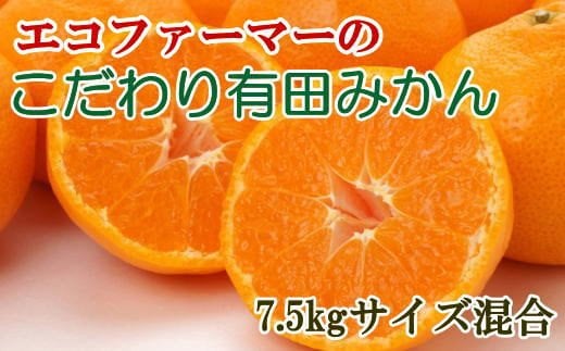 エコファーマーのこだわり有田みかん約7.5kg（サイズ混合）★2024年11月中旬～2025年1月中旬頃順次発送 みかん ミカン 蜜柑 有田みかん 温州みかん 柑橘 果物 くだもの フルーツ 予約 人気 和歌山【tec835】