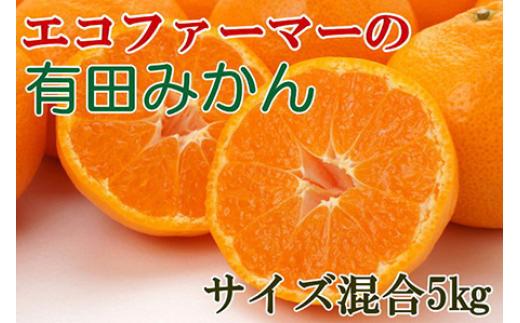 エコファーマーのこだわり有田みかん約5kg(サイズ混合)★2024年11月中旬～2025年1月中旬頃順次発送 みかん ミカン 蜜柑 有田みかん 温州みかん 柑橘 果物 くだもの フルーツ 予約 人気 和歌山【tec961】