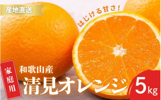 【先行予約】ご家庭用 きよみ 清美オレンジ 和歌山 有田 S～2Lサイズ 大きさお任せ 5kg【2月中旬～3月下旬頃に順次発送】/ みかん フルーツ 果物 くだもの 蜜柑 柑橘【ktn040】