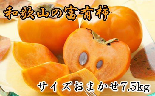 [甘柿の王様]和歌山産富有柿 約7.5kg サイズおまかせ【2024年11月上旬～2024年12月上旬頃順次発送】【tec400A】