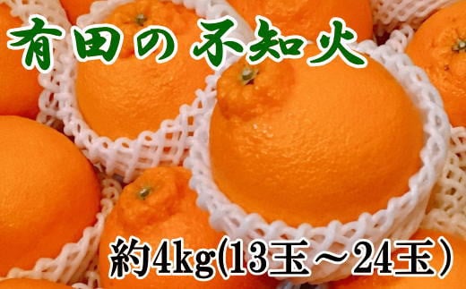 【先行予約】【濃厚】有田の不知火 約4kg（13玉～24玉おまかせ）※2025年2月上旬～2025年3月下旬頃発送予定【tec863A】