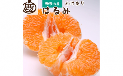 ＜先行予約＞家庭用 はるみ1.5kg+45g（傷み補償分）【デコポンの姉妹品種・新食感春みかん】【光センサー選別】【わけあり・訳あり】＜2月より発送＞※北海道・沖縄・離島への配送不可【ikd142】