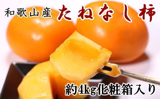 【秋の味覚】和歌山産のたねなし柿2L～4Lサイズ約4kg（化粧箱入り）※2024年10月上旬～2024年11月上旬頃頃順次発送【tec409】