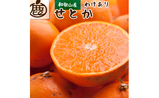 ＜2月より発送＞家庭用 せとか1kg+30g（傷み補償分）【柑橘・春みかんの王様】【わけあり・訳あり】【光センサー選果・食べ頃出荷】【ikd126B】