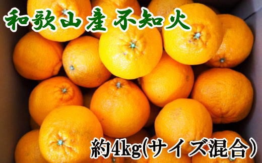 和歌山県産不知火約4kg（サイズ混合）　※2025年2月下旬～2025年3月中旬頃発送予定（お届け日指定不可）【tec957】