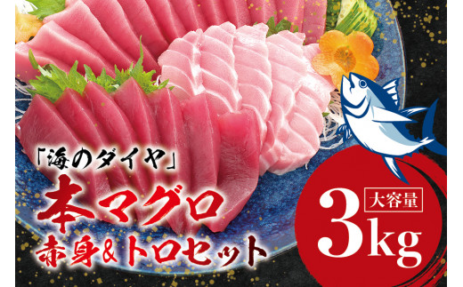 本マグロ（養殖）トロ＆赤身セット 3kg 【1ヶ月以内に発送】高級 クロマグロ  中トロ 中とろ  まぐろ マグロ 鮪 刺身 赤身 柵 じゃばらまぐろ 本マグロ 本鮪 【nks112】