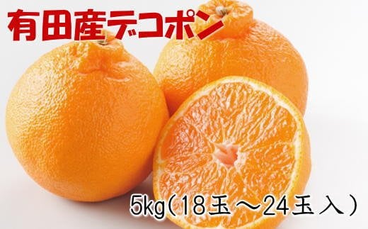 【先行予約】【お味濃厚】紀州有田産のデコポン約5kg(18玉〜24玉入り・青秀以上) ※2026年2月中旬～2026年3月中旬頃順次発送 / みかん ミカン くだもの 果物 フルーツ オレンジ 不知火 デコポン【tec810B】