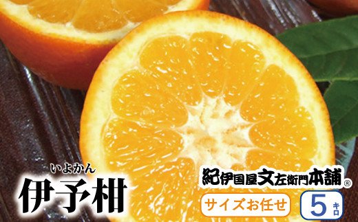 伊予柑(いよかん) 約5kg/サイズおまかせ　※2025年1月中旬～2025年2月中旬頃に順次発送予定(お届け日指定不可)　紀伊国屋文左衛門本舗 / オレンジ ミカン みかん 柑橘 フルーツ 果物 くだもの いよかん 和歌山【sutb441A】