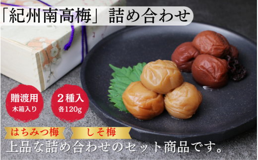 紀の誉 「紀州南高梅」(はちみつ梅、しそ梅 各120g)/梅 梅干 梅干し うめ ウメ ハチミツ シソ 家庭用 贈答 お中元 お歳暮 冠婚葬祭 食べ比べ すさみ町 【khs102】