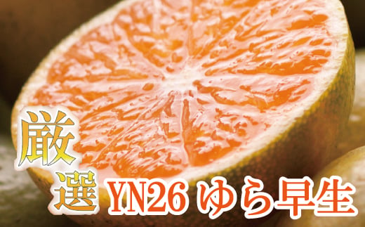 【先行予約】プレミアム有田みかん2.5kg+250g（傷み補償分）10月より発送(ゆら早生)　【YN26・ゆら早生】/ みかん 果物 柑橘 フルーツ ミカン 有田みかん【ikd001D】