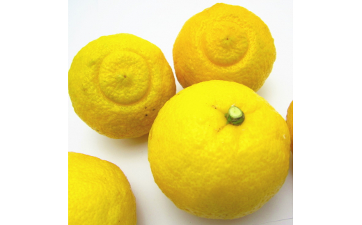 ＜1月下旬～＞【先行予約】【人気柑橘】 有田育ちの はるか みかん（訳あり 家庭用）10kg+200g(痛み補償分)　※2027年1月下旬～2月下旬頃に順次発送予定【ard076C】