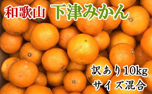 【産直】和歌山下津みかん10kg(訳ありサイズ混合)【2024年11月中旬～2025年1月中旬頃より発送】【tec885】